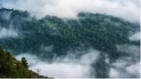 Wayanad Nature Trails